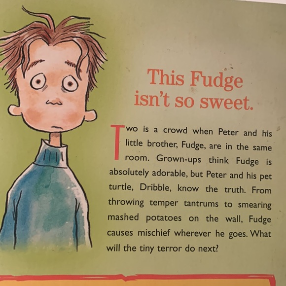 Illustrated chapter books set of 5 - Picture 9 of 14